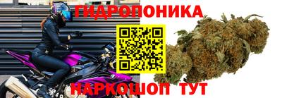 прущая мука Гусев