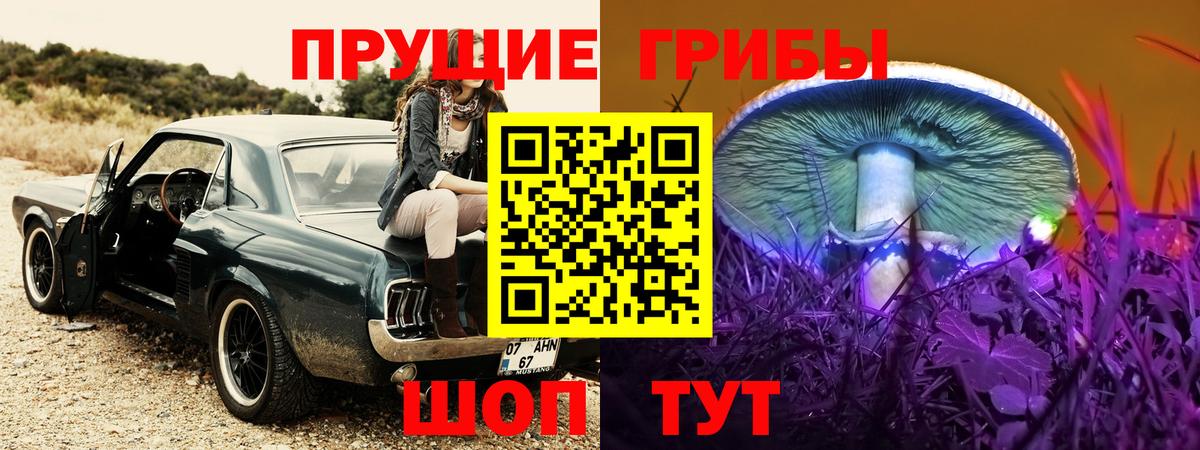 Псилоцибиновые грибы Psilocybine cubensis  Галлюциногенные грибы Psilocybe  Вход с VPN  Москва 